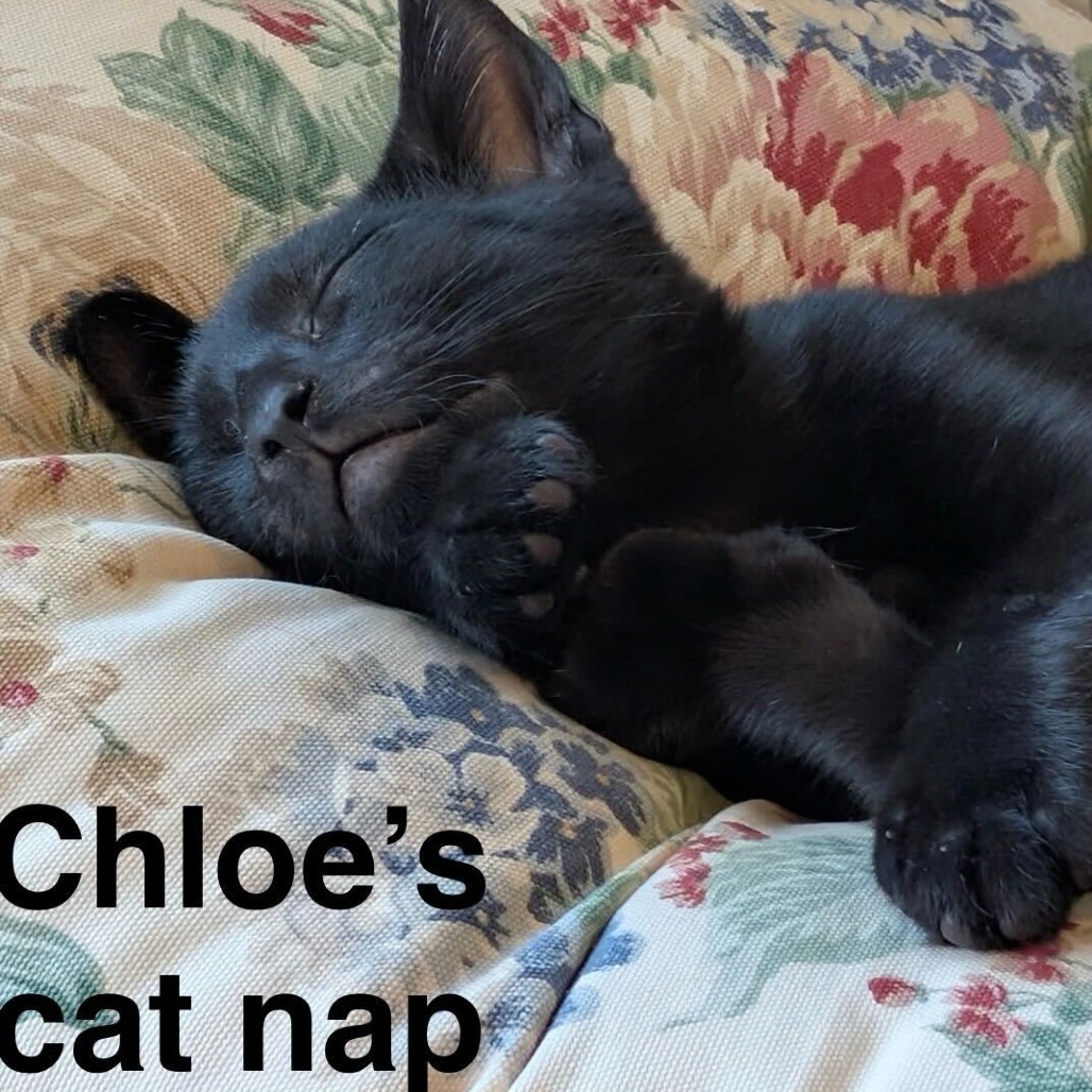 Chloe