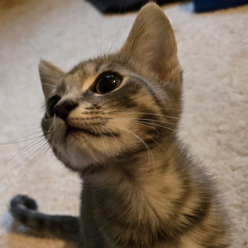 Bartholomew