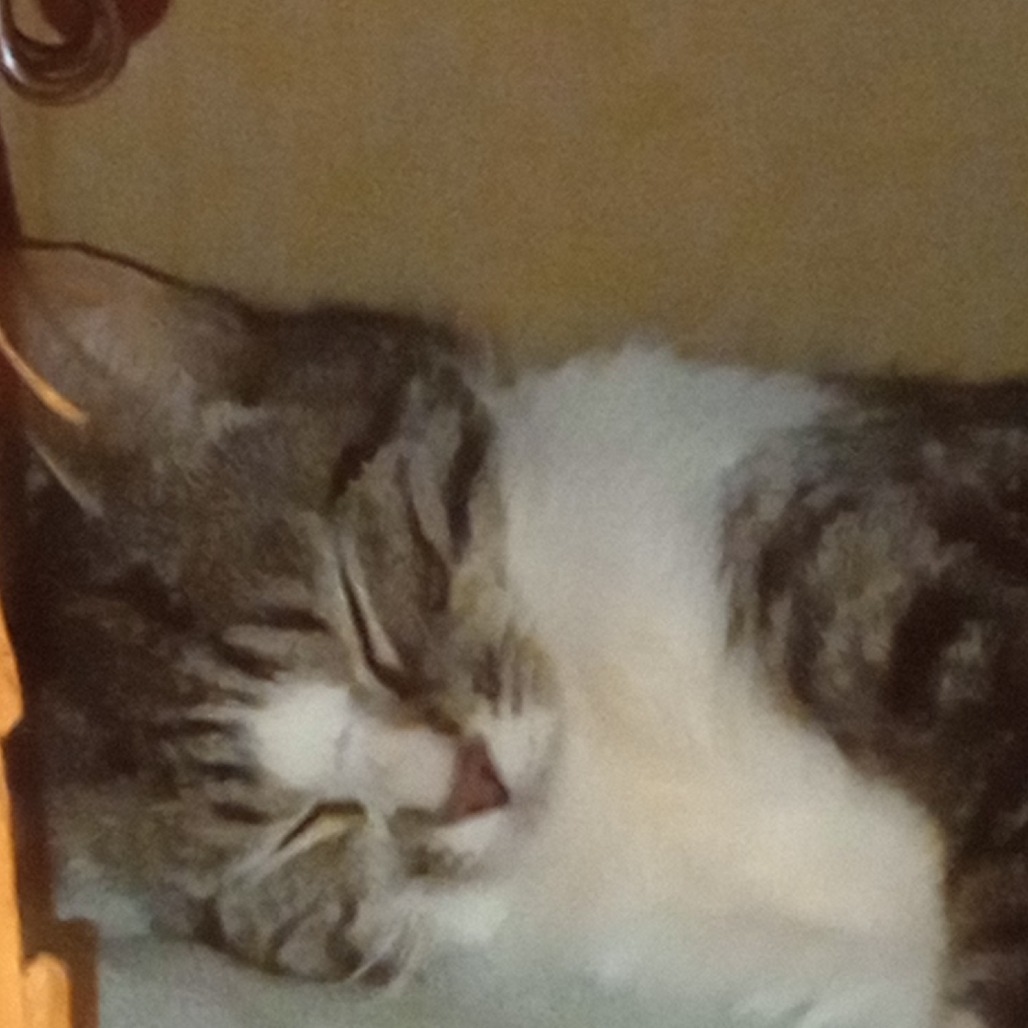 Milka