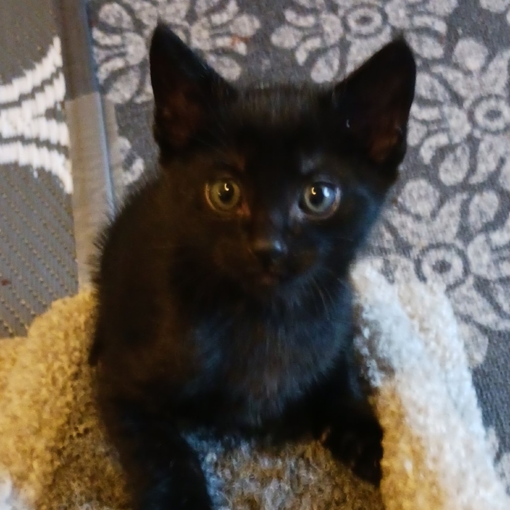 Max