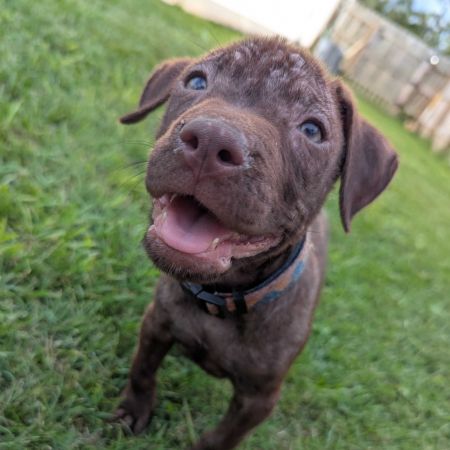 Milo