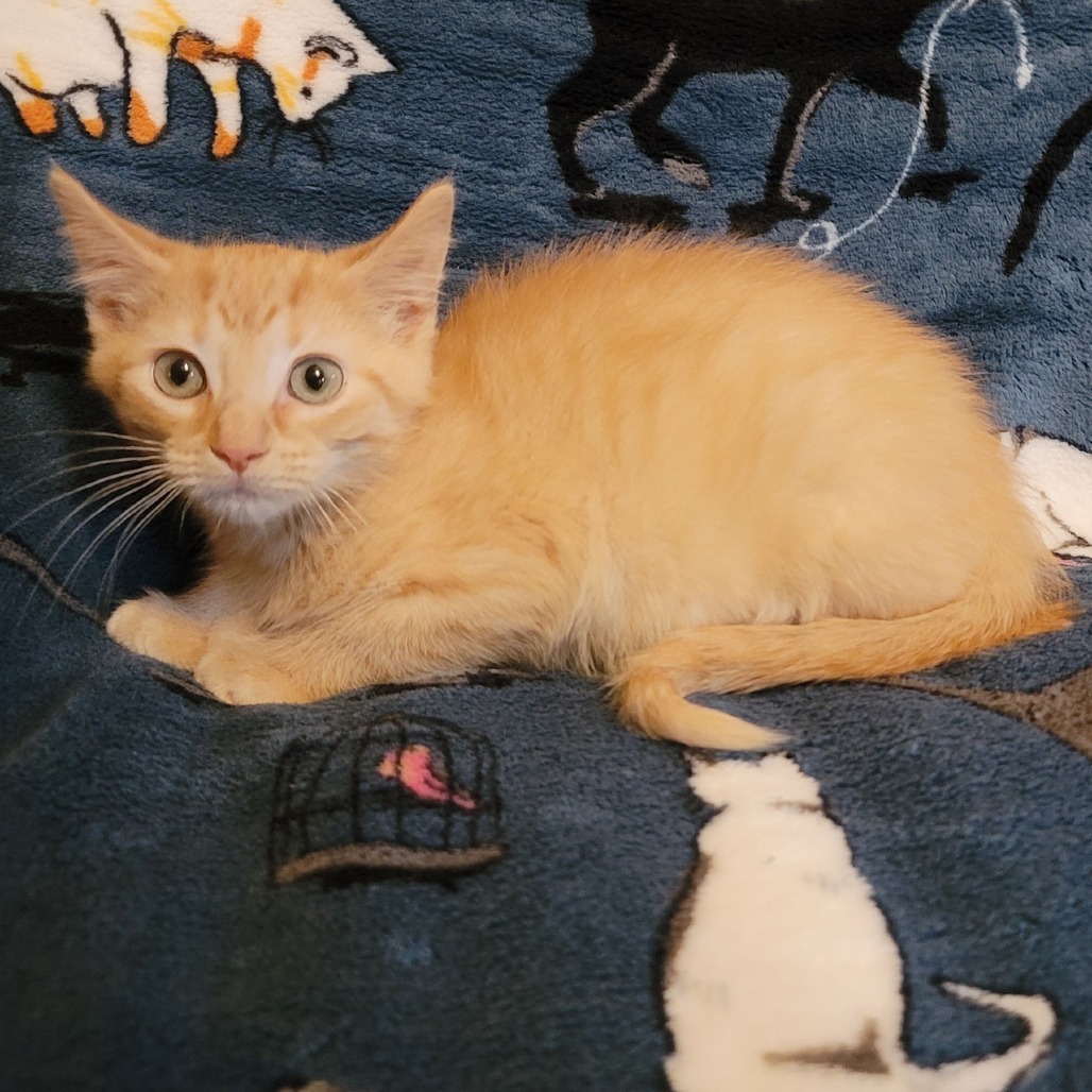 Winslow
