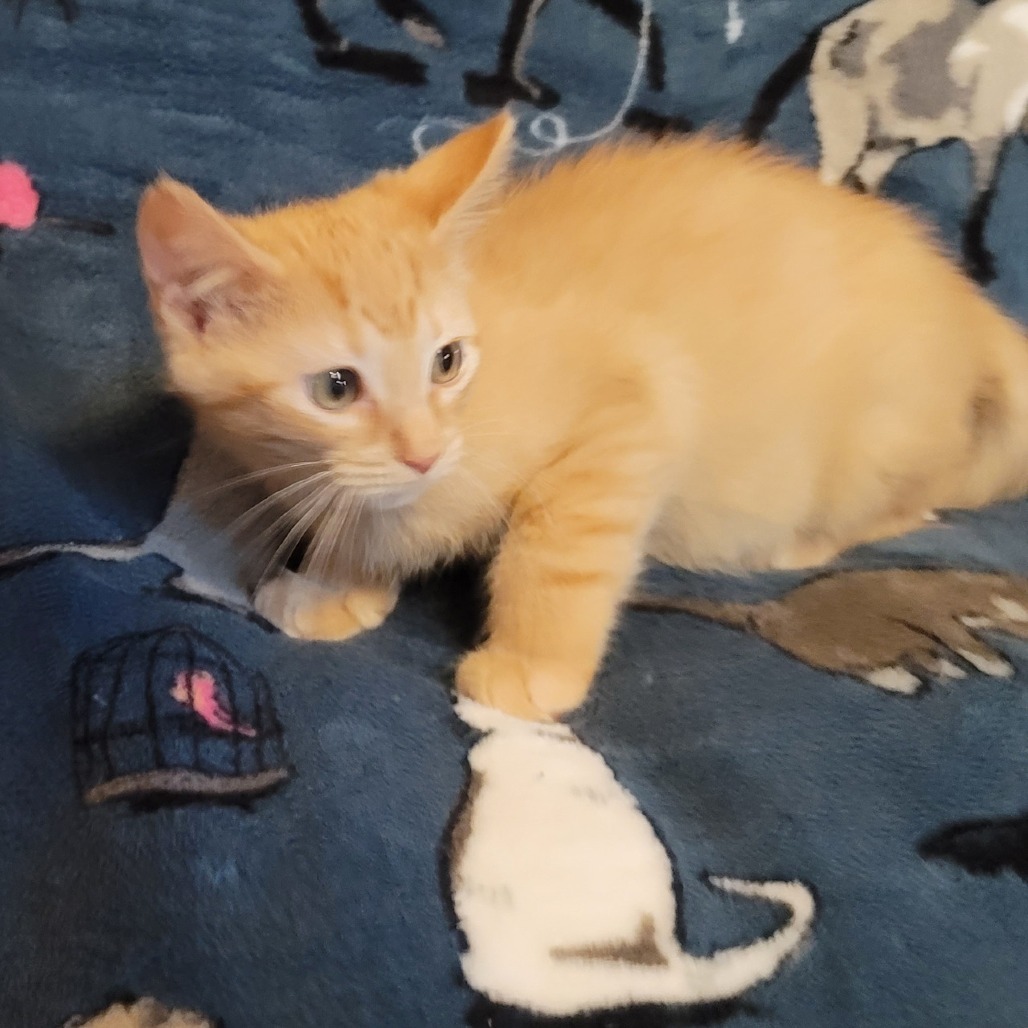 Winslow