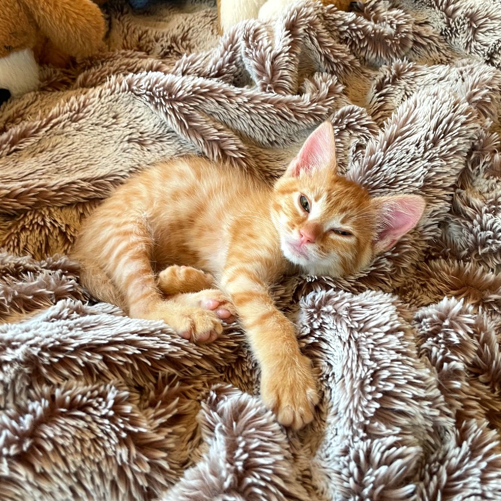 Smeagol