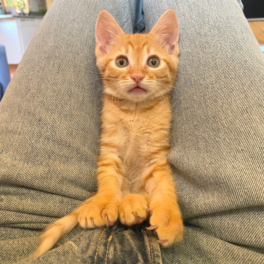 Smeagol