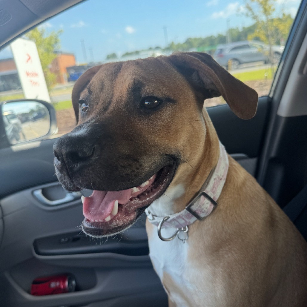 Penny