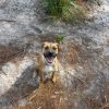 Penny photo 3