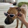 Penny photo 4