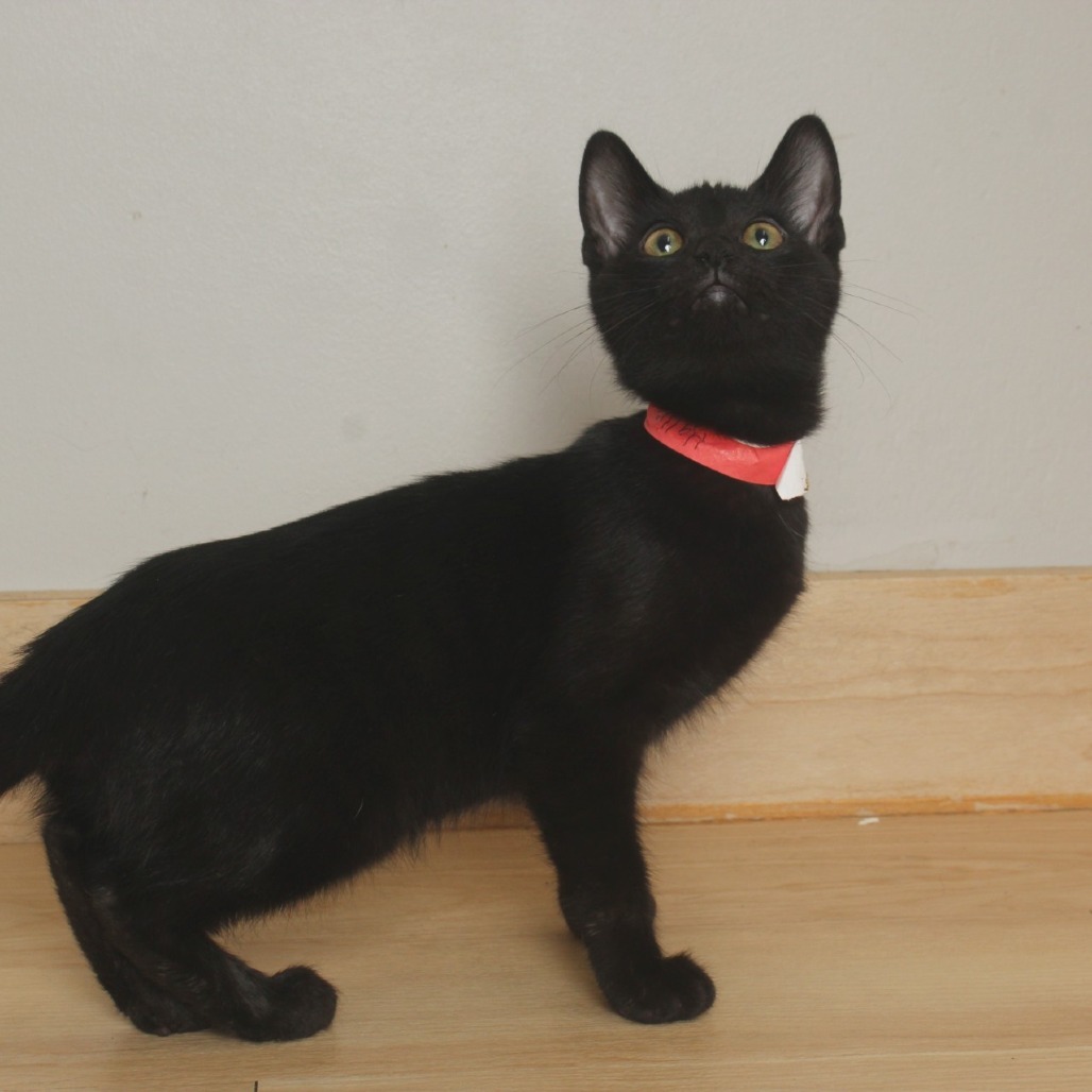 Hallie C65753