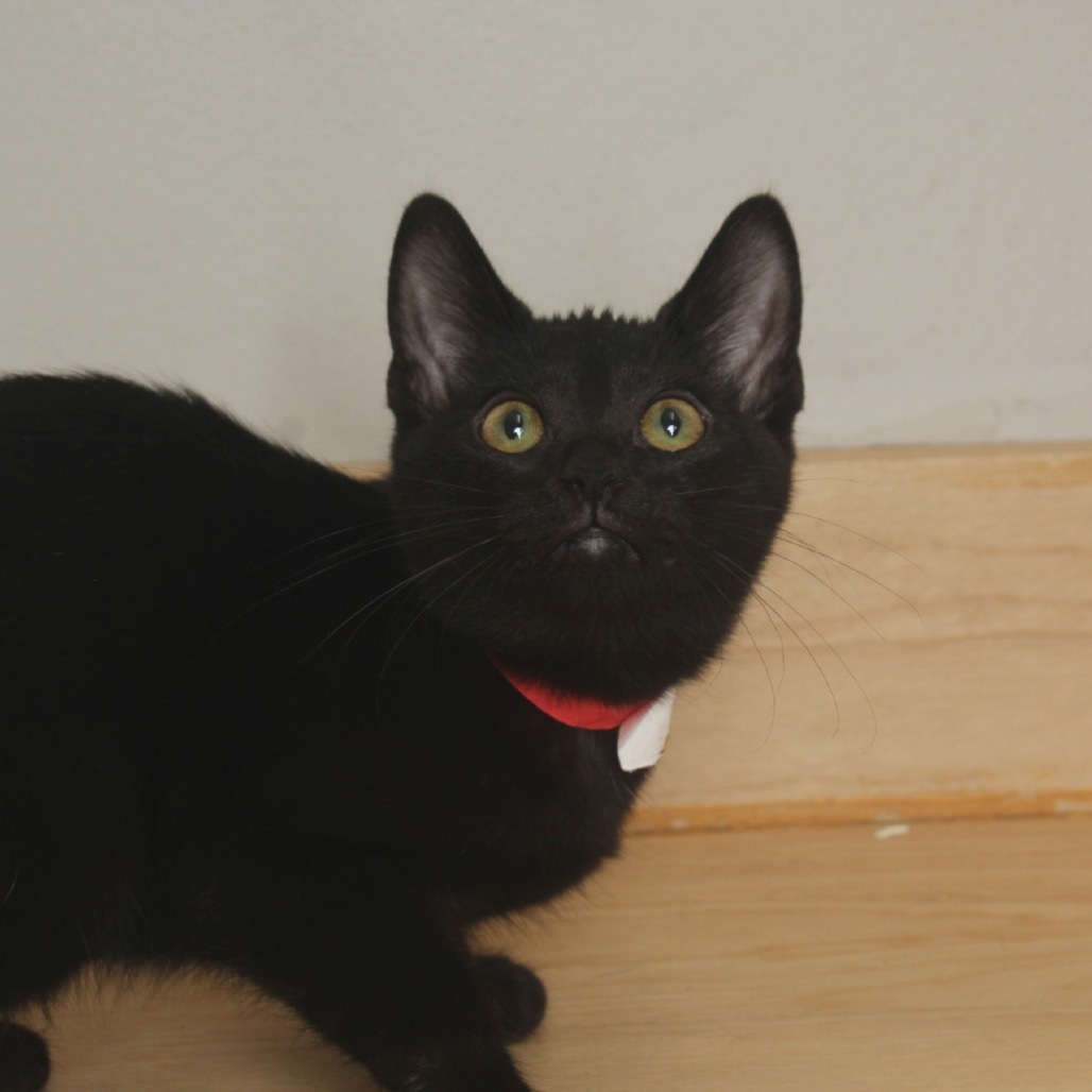 Hallie C65753