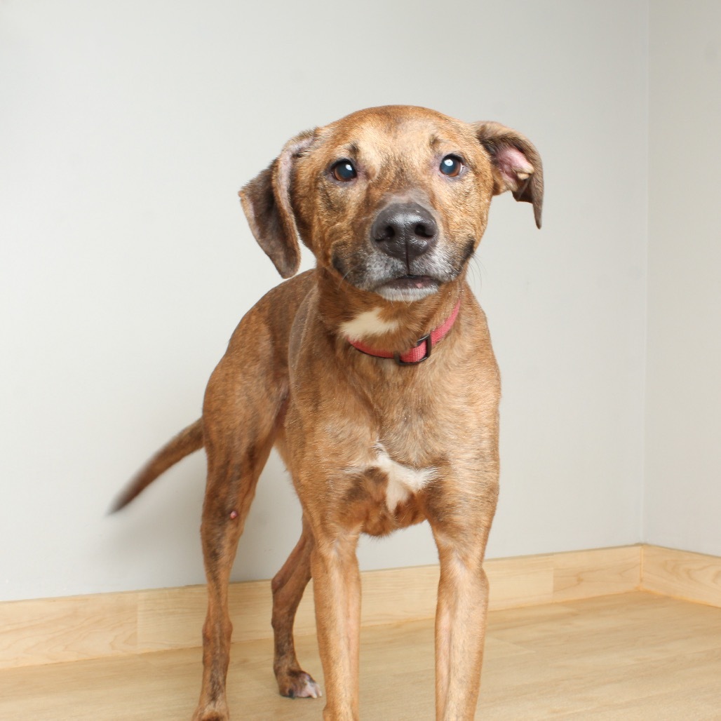 Cooper** D64147 (Sponsored)