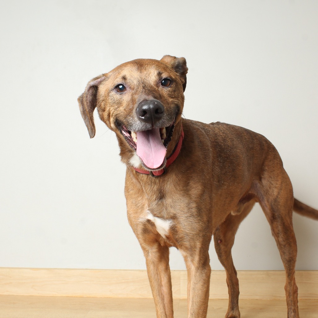 Cooper** D64147 (Sponsored)