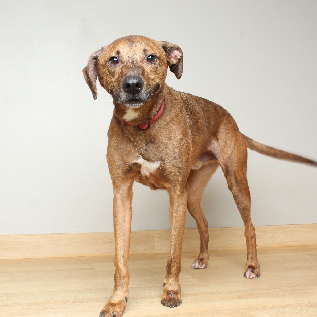 Cooper** D64147 (Sponsored)