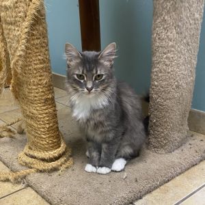 Lola, Young Female unknown