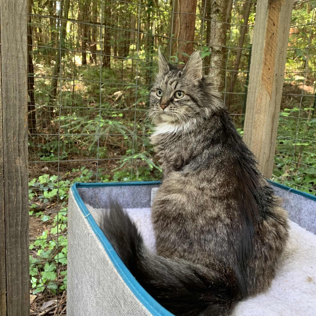 Mazzie Mae