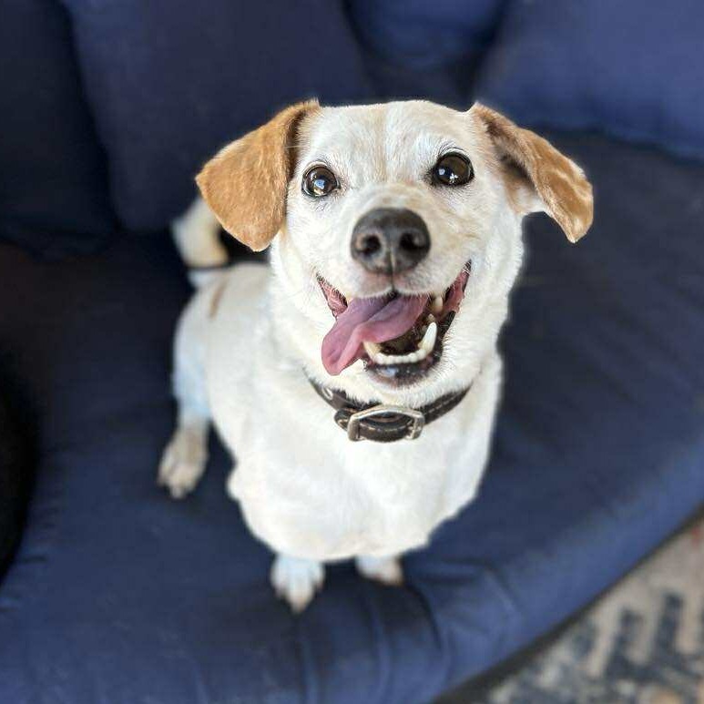 Wally