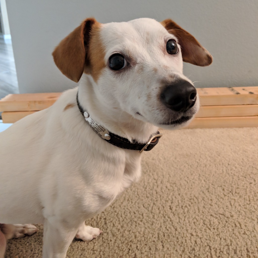 Wally