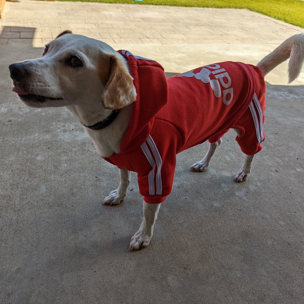 Wally