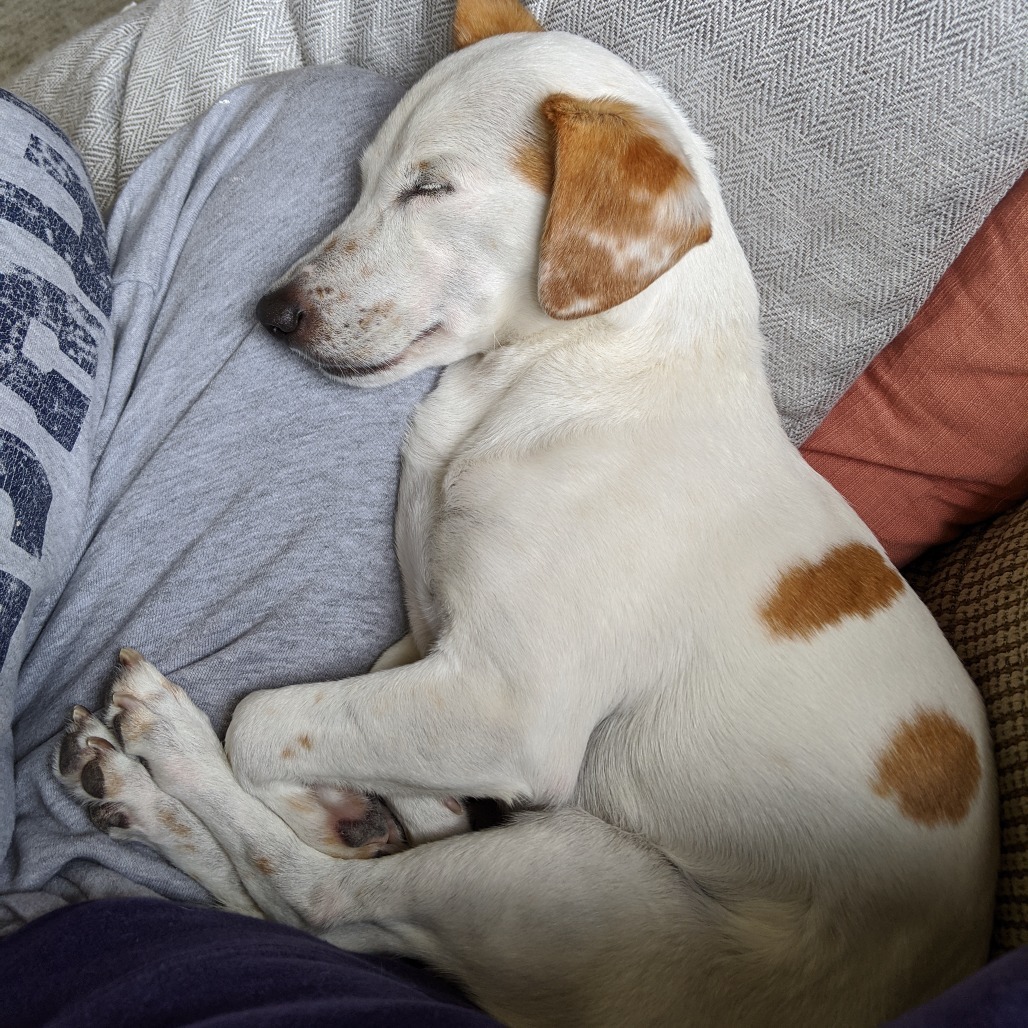 Wally