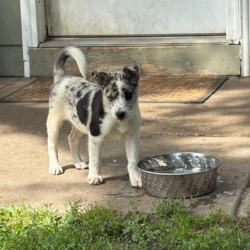 Lucy, 8592