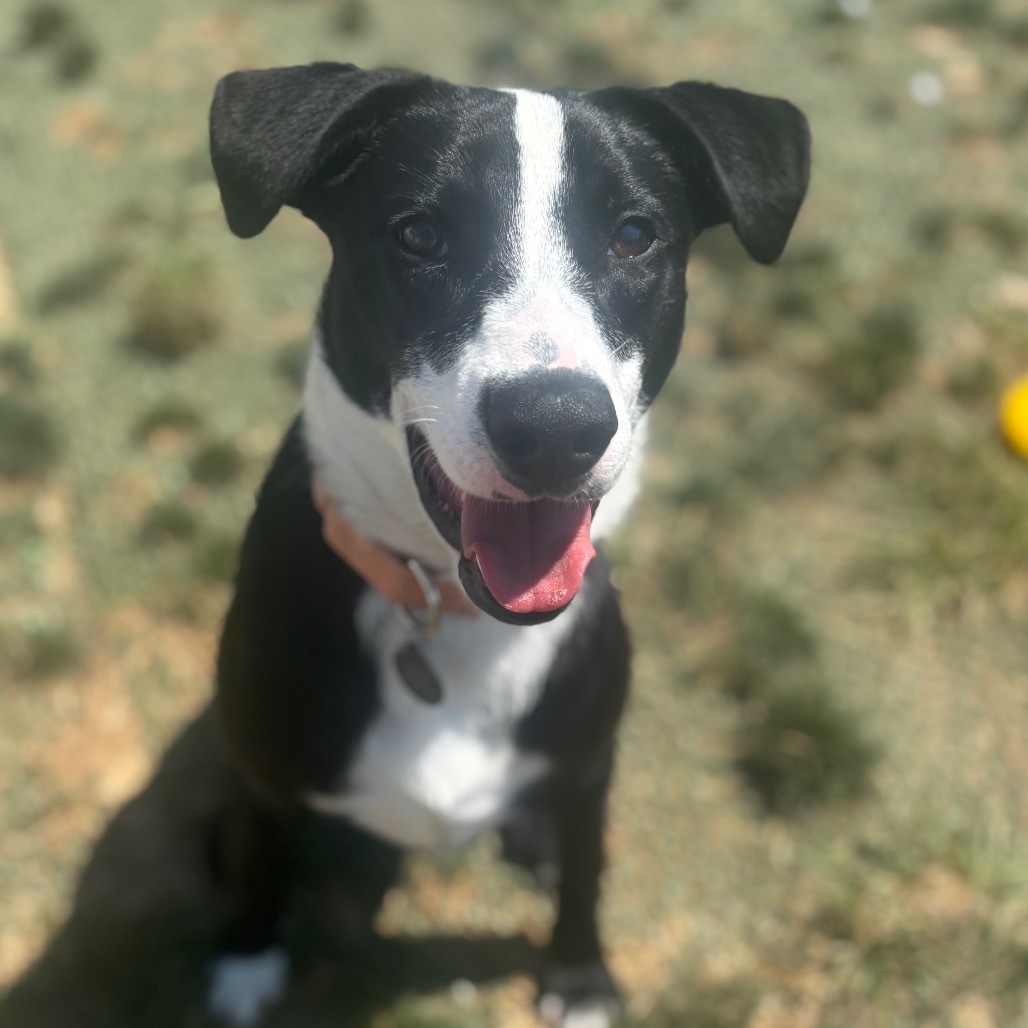 Esther