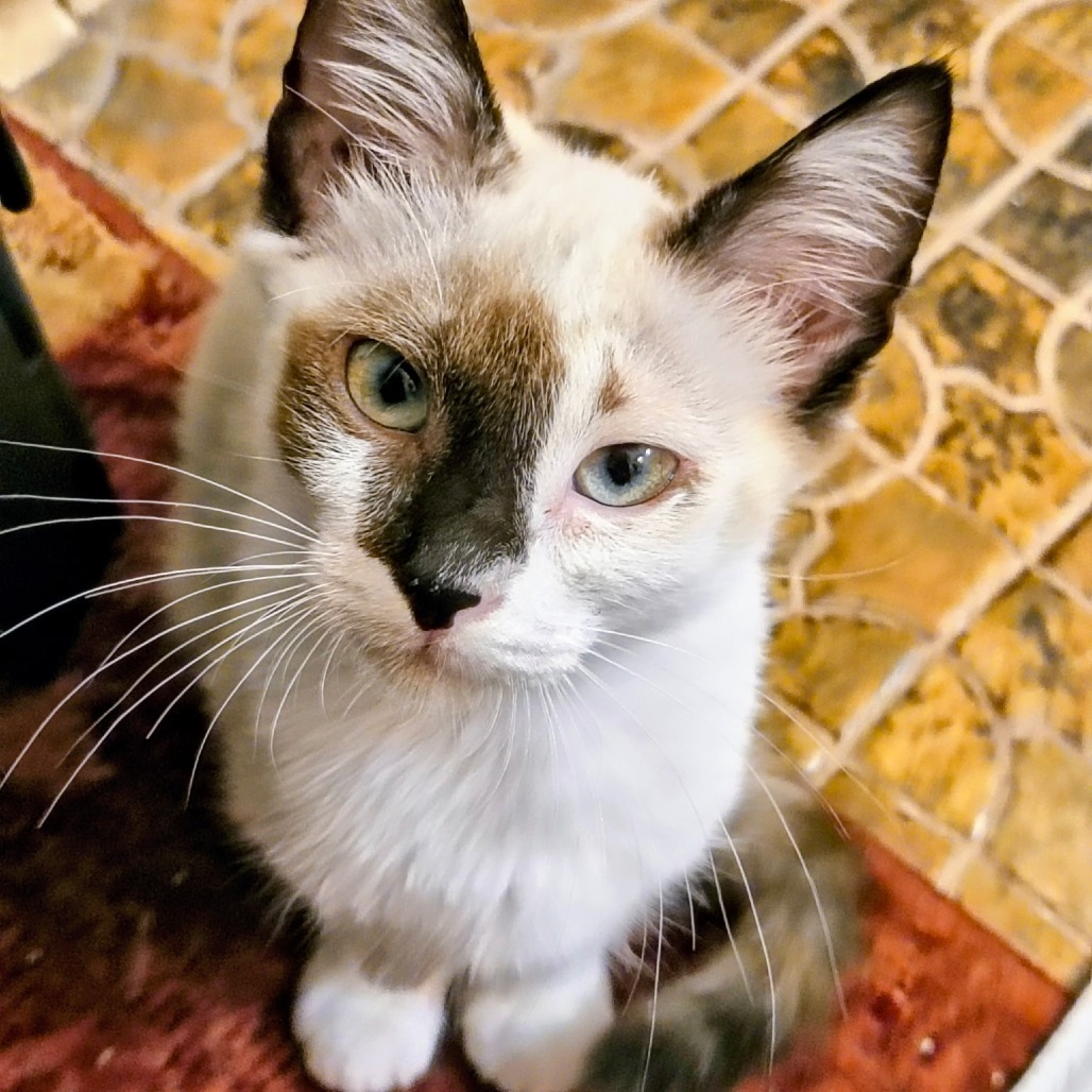 Maui Fincher