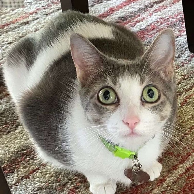 Luna