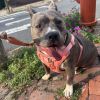 Zena photo 1