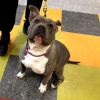 Zena photo 3