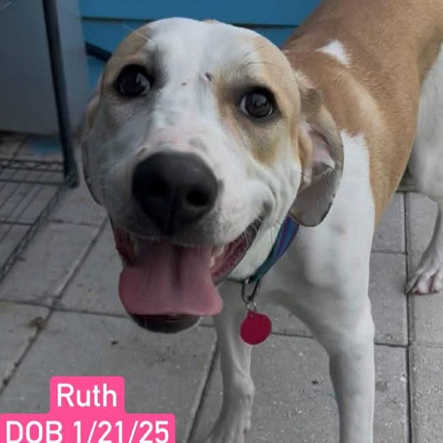 Ruth