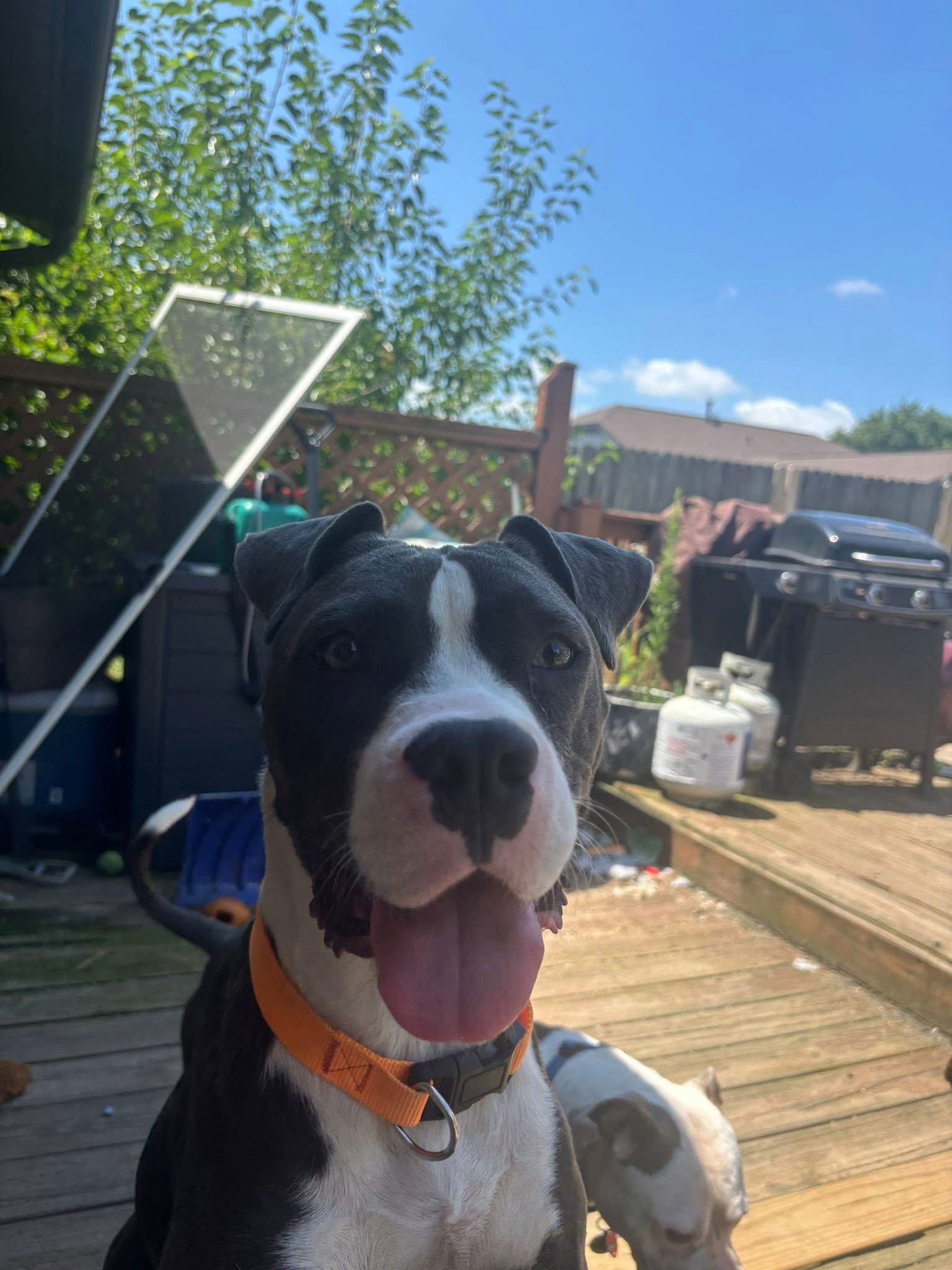 Sebastian