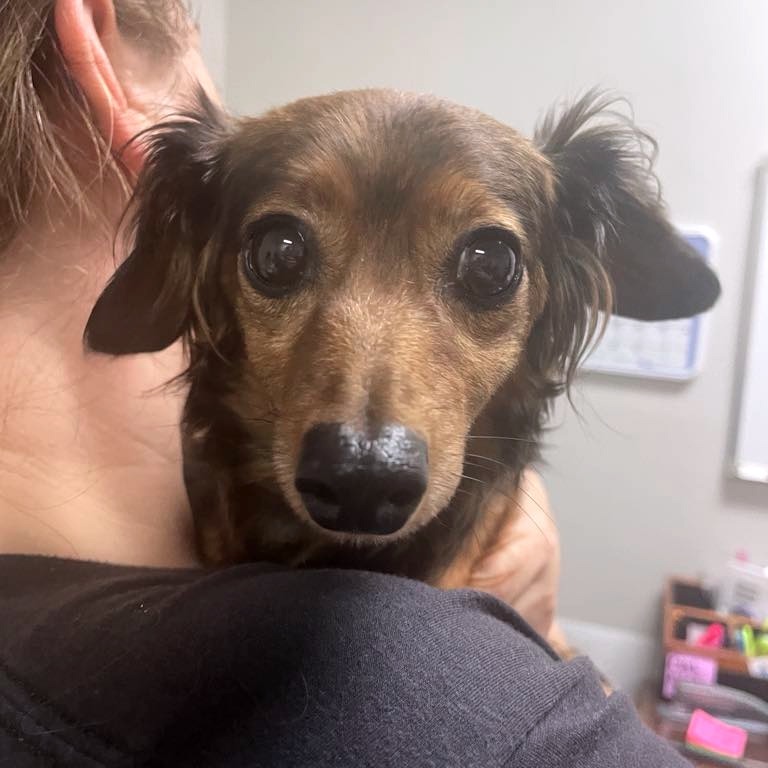 Penny