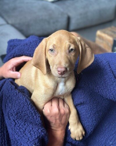 Charlie