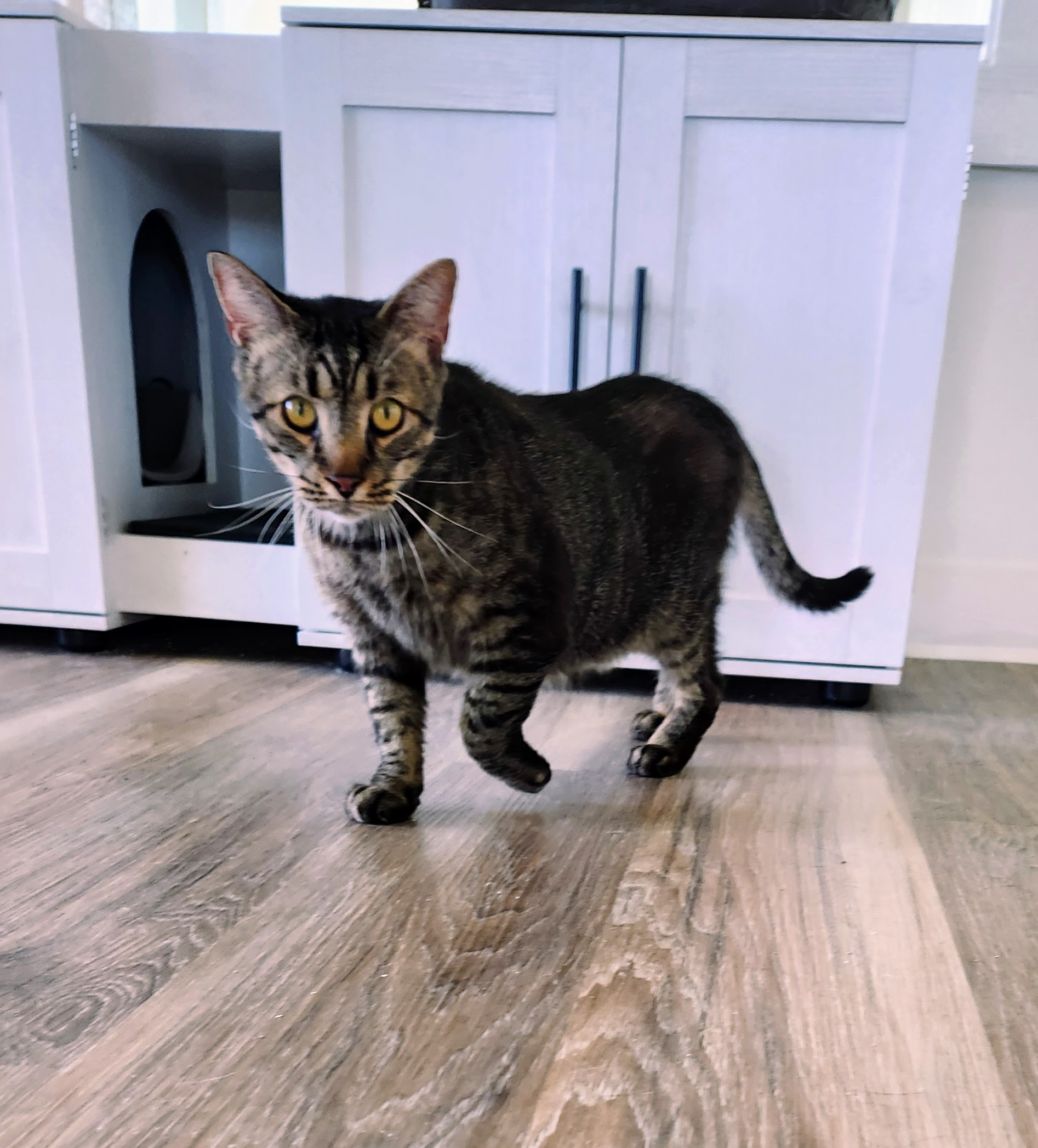 Walter