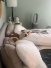 Bitsy photo 3