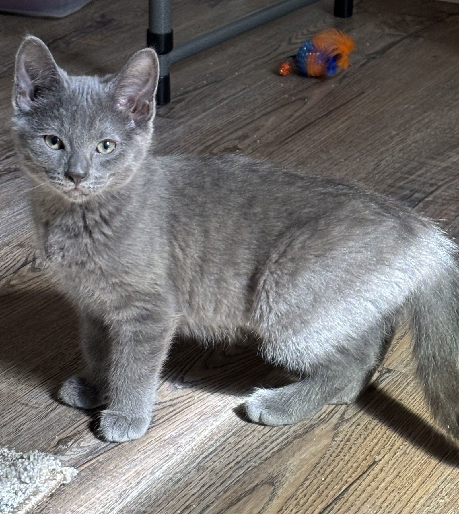 Cinder