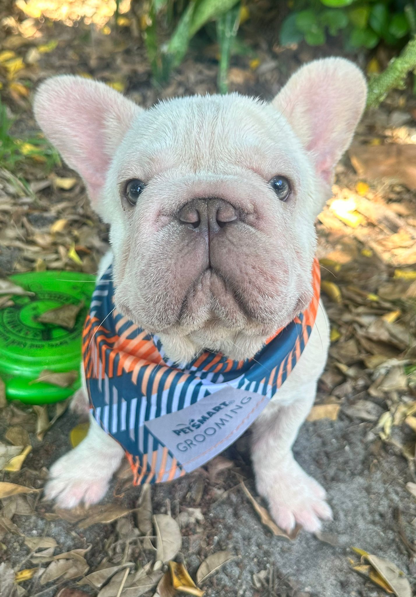 LILO