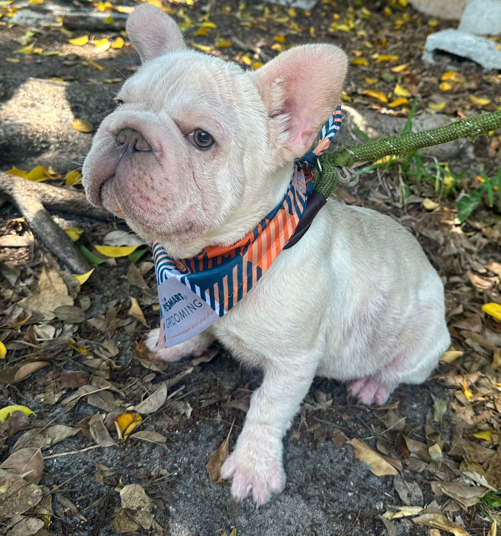 LILO
