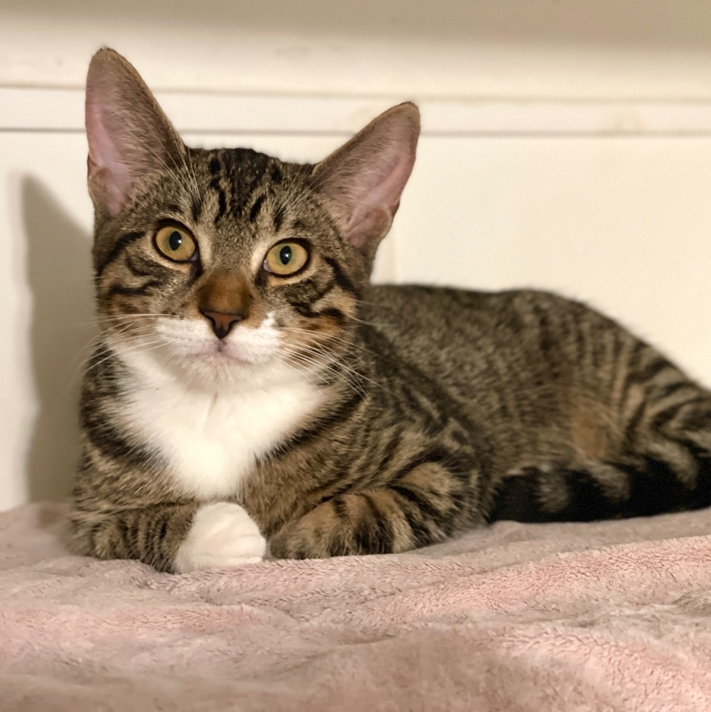 Peeta