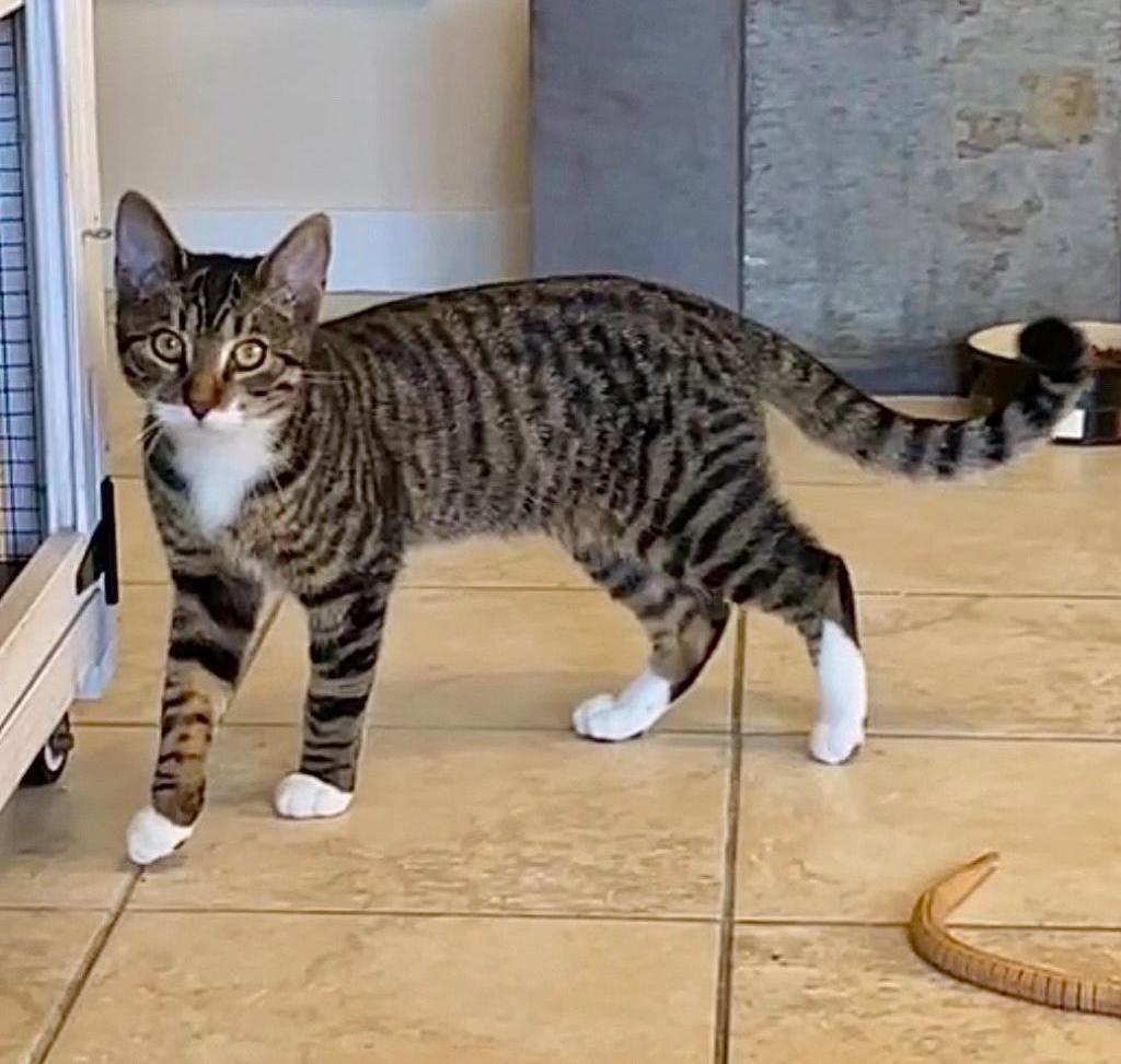 Peeta