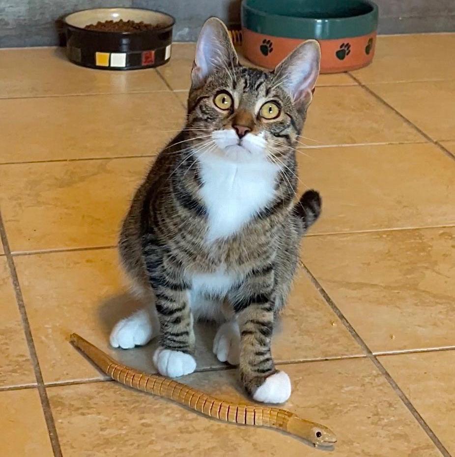 Peeta