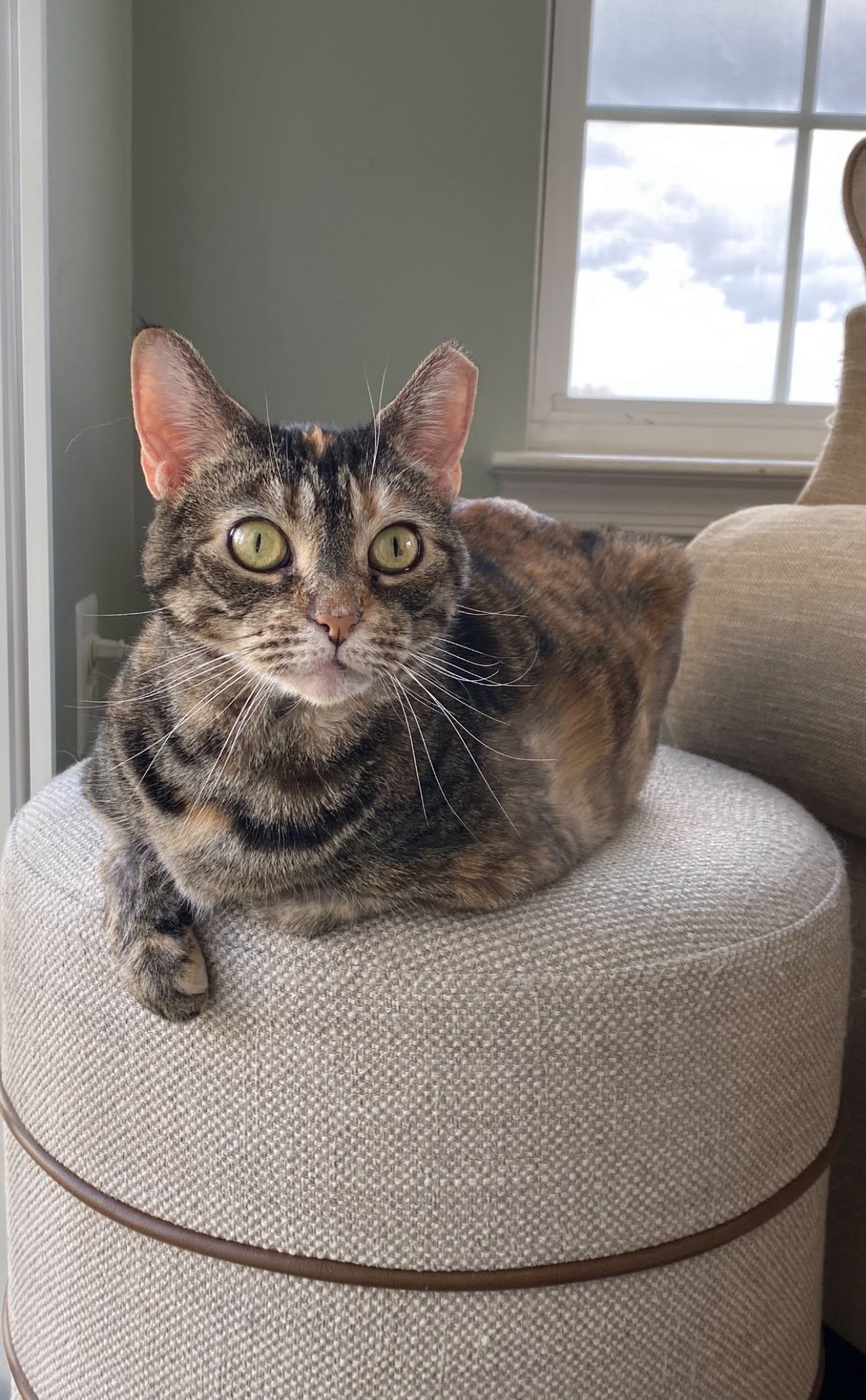 Lucy