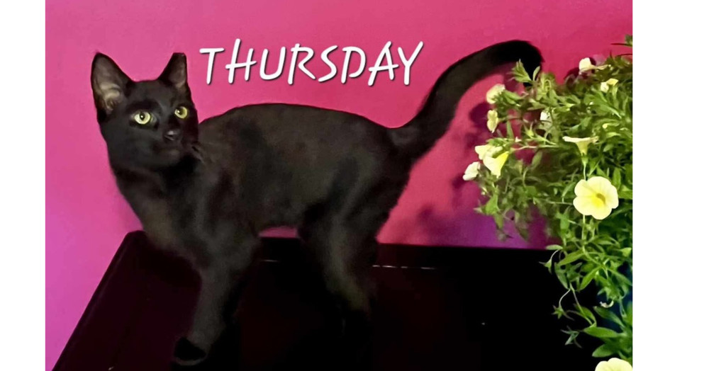 Thursday