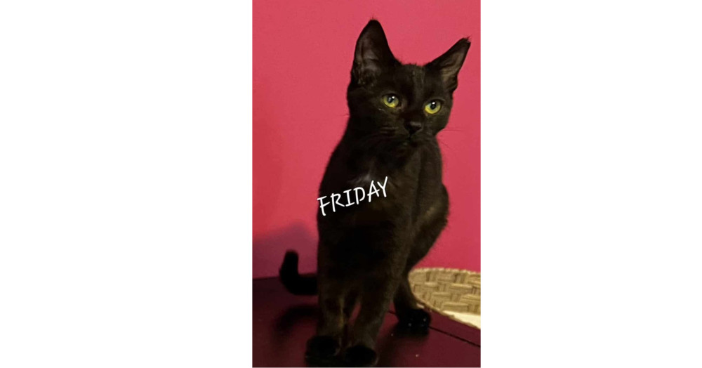 Friday