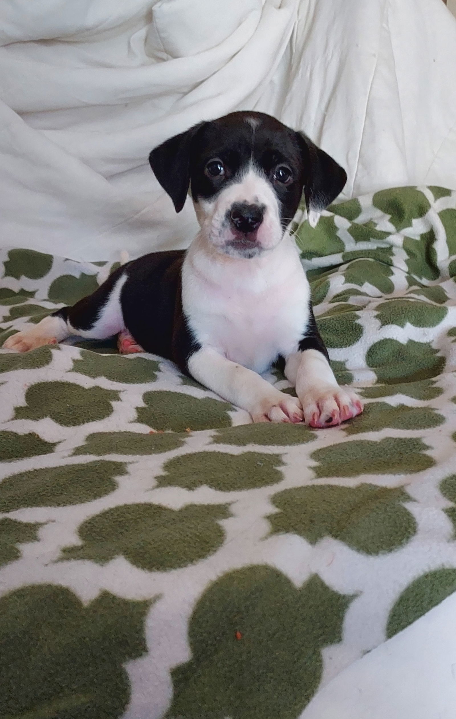 Benny