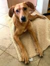 Charlie photo 1