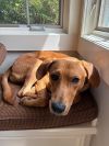Charlie photo 3