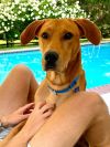 Charlie photo 4