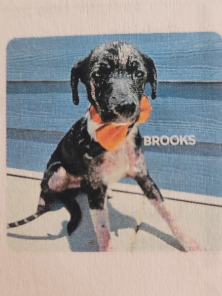 Brooks