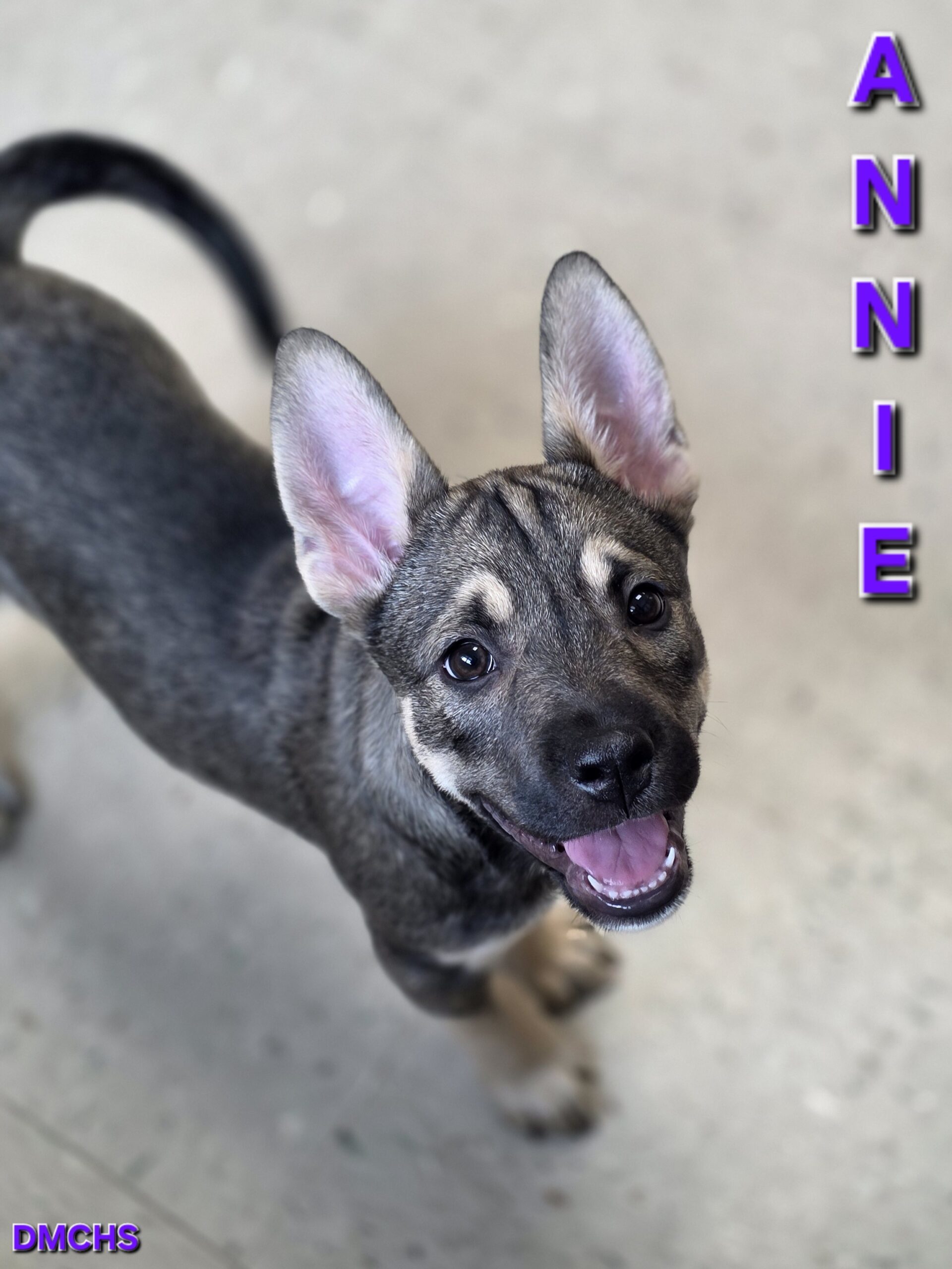 Annie